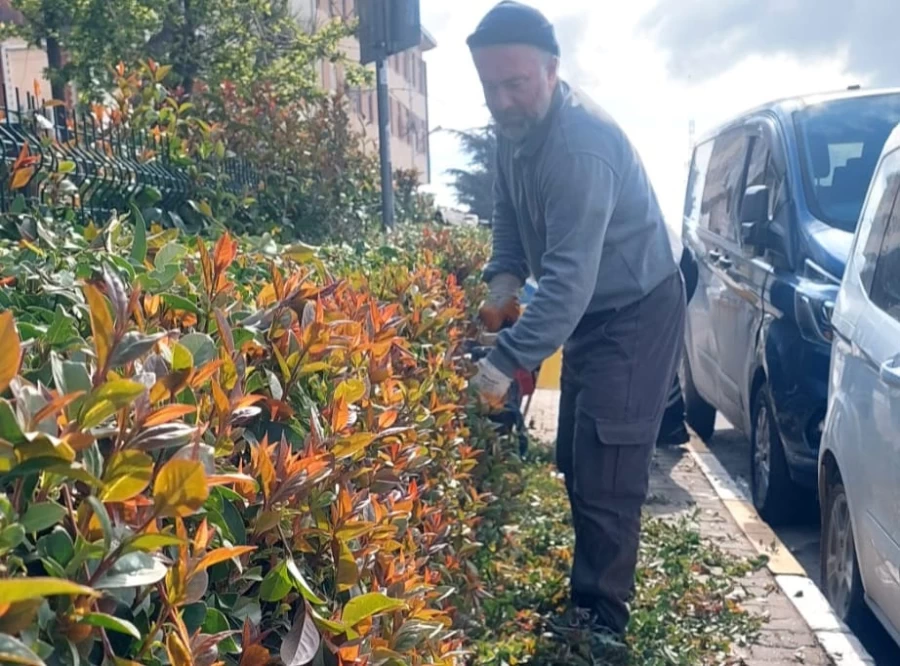 Sanayi Sitemizde Yeşil Alan Düzenlemesi.....
