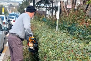 Sanayi Sitemizde Yeşil Alan Düzenlemesi.....
