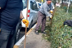 Sanayi Sitemizde Yeşil Alan Düzenlemesi.....