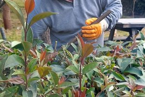 Sanayi Sitemizde Yeşil Alan Düzenlemesi.....