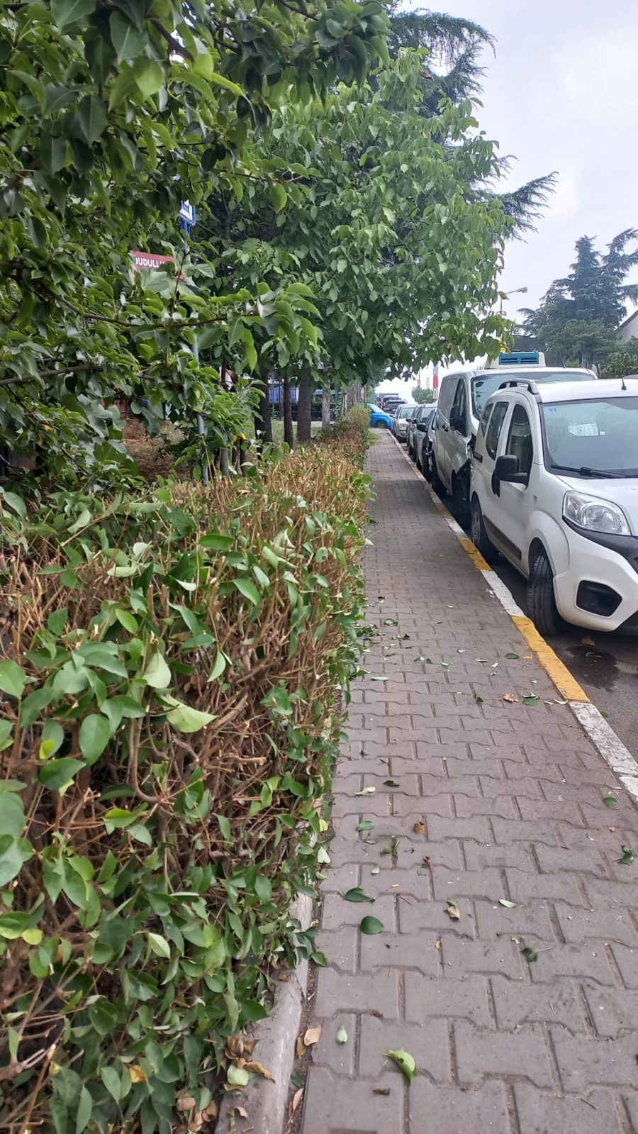 KADOSAN’da yeni haftaya başladık…