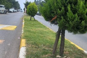 KADOSAN’da yeni haftaya başladık…