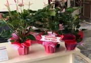 Kayışdağı Darülaceze 'deki ziyaretimizden görüntüler...
